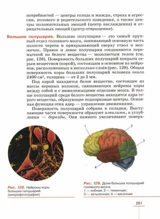 читать учебник для 8 классов под авторством колесова д.в., маша р.д., беляева и.н. биология. раздел человек 2016
