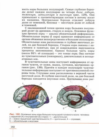 читать учебник для 8 классов под авторством колесова д.в., маша р.д., беляева и.н. биология. раздел человек 2016