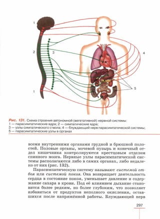 читать учебник для 8 классов под авторством колесова д.в., маша р.д., беляева и.н. биология. раздел человек 2016