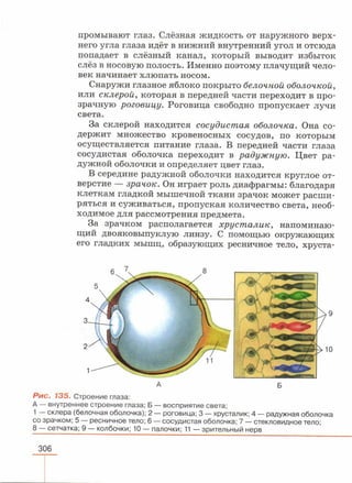 читать учебник для 8 классов под авторством колесова д.в., маша р.д., беляева и.н. биология. раздел человек 2016