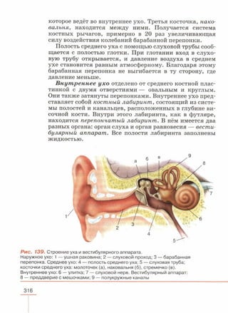 читать учебник для 8 классов под авторством колесова д.в., маша р.д., беляева и.н. биология. раздел человек 2016
