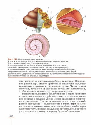 читать учебник для 8 классов под авторством колесова д.в., маша р.д., беляева и.н. биология. раздел человек 2016