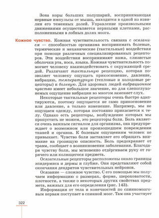читать учебник для 8 классов под авторством колесова д.в., маша р.д., беляева и.н. биология. раздел человек 2016