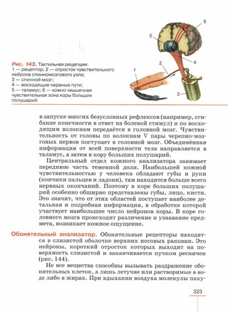 читать учебник для 8 классов под авторством колесова д.в., маша р.д., беляева и.н. биология. раздел человек 2016