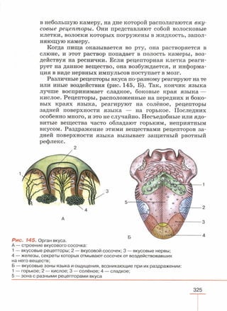читать учебник для 8 классов под авторством колесова д.в., маша р.д., беляева и.н. биология. раздел человек 2016