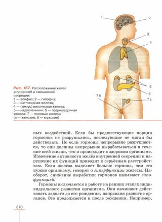 читать учебник для 8 классов под авторством колесова д.в., маша р.д., беляева и.н. биология. раздел человек 2016