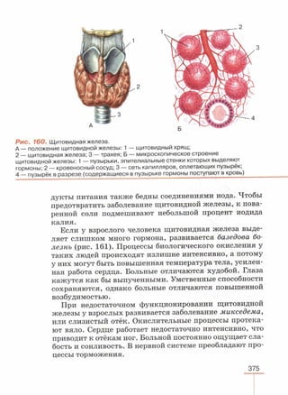 читать учебник для 8 классов под авторством колесова д.в., маша р.д., беляева и.н. биология. раздел человек 2016