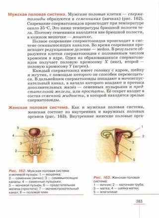 читать учебник для 8 классов под авторством колесова д.в., маша р.д., беляева и.н. биология. раздел человек 2016