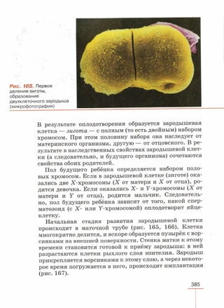 читать учебник для 8 классов под авторством колесова д.в., маша р.д., беляева и.н. биология. раздел человек 2016