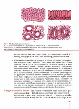 читать учебник для 8 классов под авторством колесова д.в., маша р.д., беляева и.н. биология. раздел человек 2016