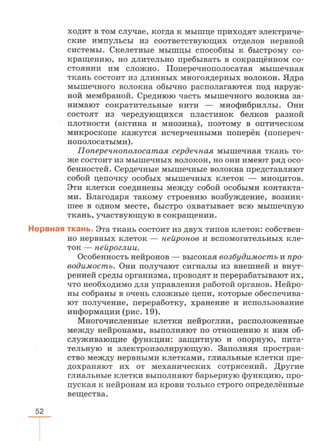 читать учебник для 8 классов под авторством колесова д.в., маша р.д., беляева и.н. биология. раздел человек 2016