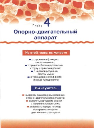 читать учебник для 8 классов под авторством колесова д.в., маша р.д., беляева и.н. биология. раздел человек 2016