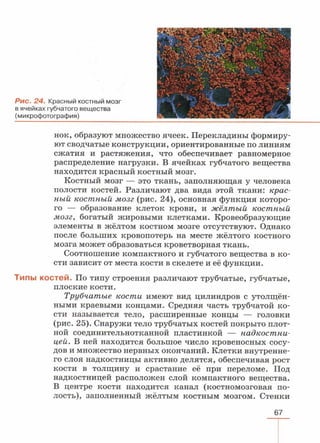 читать учебник для 8 классов под авторством колесова д.в., маша р.д., беляева и.н. биология. раздел человек 2016