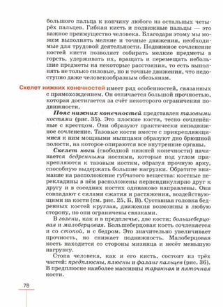 читать учебник для 8 классов под авторством колесова д.в., маша р.д., беляева и.н. биология. раздел человек 2016