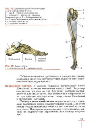 читать учебник для 8 классов под авторством колесова д.в., маша р.д., беляева и.н. биология. раздел человек 2016