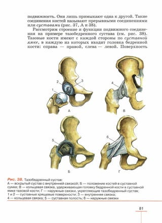 читать учебник для 8 классов под авторством колесова д.в., маша р.д., беляева и.н. биология. раздел человек 2016