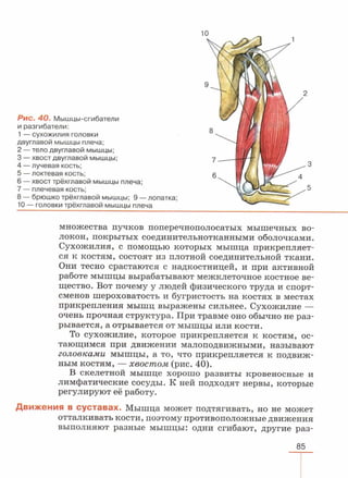 читать учебник для 8 классов под авторством колесова д.в., маша р.д., беляева и.н. биология. раздел человек 2016
