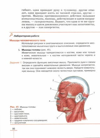 читать учебник для 8 классов под авторством колесова д.в., маша р.д., беляева и.н. биология. раздел человек 2016