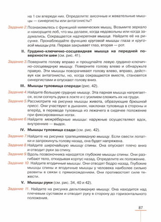 читать учебник для 8 классов под авторством колесова д.в., маша р.д., беляева и.н. биология. раздел человек 2016