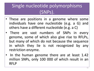 Single nucleotide polymorphisms
(SNPs).
• These are positions in a genome where some
individuals have one nucleotide (e.g. a G) and
others have a different nucleotide (e.g. a C)
• There are vast numbers of SNPs in every
genome, some of which also give rise to RFLPs,
but many of which do not because the sequence
in which they lie is not recognized by any
restriction enzyme.
• In the human genome there are at least 1.42
million SNPs, only 100 000 of which result in an
RFLP
11
 