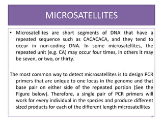 MICROSATELLITES
• Microsatellites are short segments of DNA that have a
repeated sequence such as CACACACA, and they tend to
occur in non-coding DNA. In some microsatellites, the
repeated unit (e.g. CA) may occur four times, in others it may
be seven, or two, or thirty.
The most common way to detect microsatellites is to design PCR
primers that are unique to one locus in the genome and that
base pair on either side of the repeated portion (See the
Figure below). Therefore, a single pair of PCR primers will
work for every individual in the species and produce different
sized products for each of the different length microsatellites
14
 
