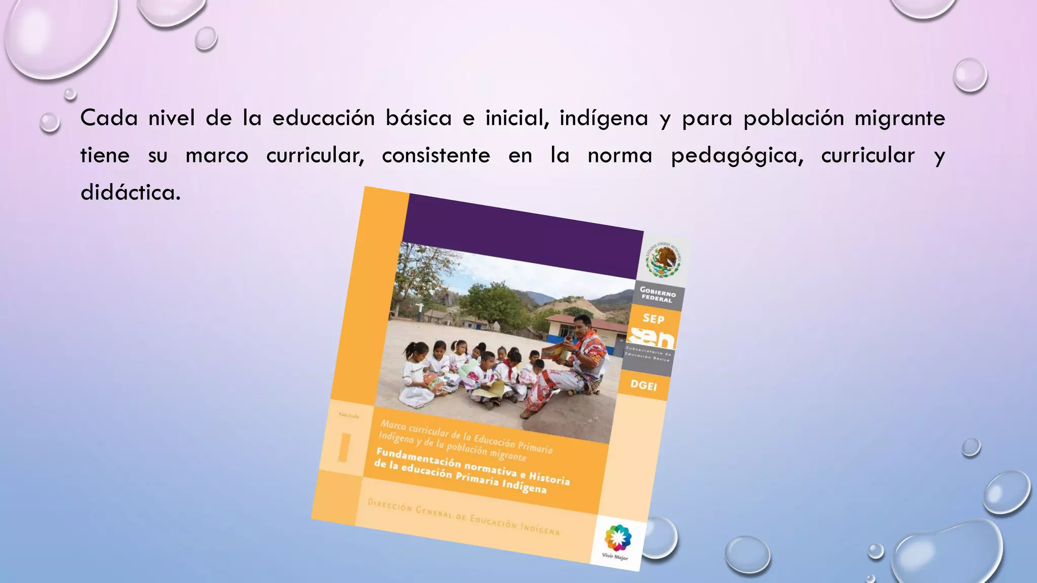 Cada nivel de la educación básica e inicial, indígena y para población migrante
tiene su marco curricular, consistente en la norma pedagógica, curricular y
didáctica.
 