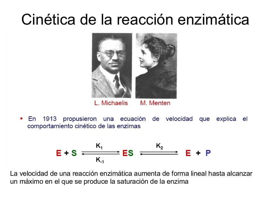 La concentraciÃ³n de sustrato a la que la velocidad de reacciÃ³n es la mitad de la
velocidad mÃ¡xima es la constante de Micha...