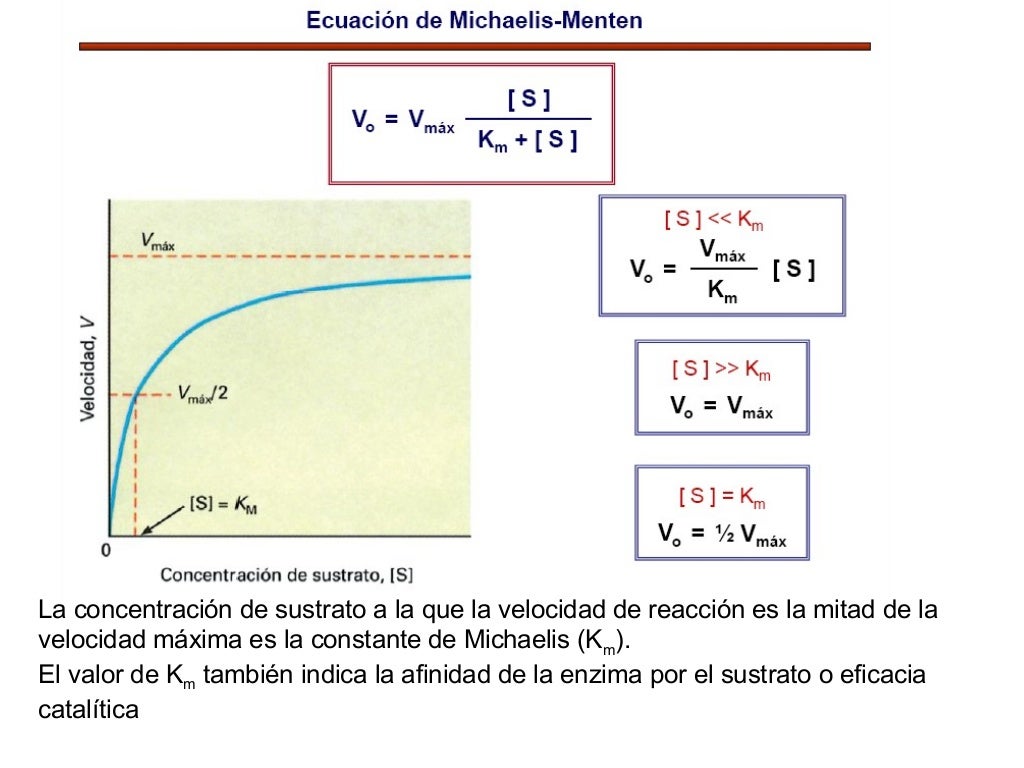 Los inhibidores isostÃ©ricos pueden ser de dos tipos:
1. Inhibidor reversible: establece un equilibrio con la enzima libre,...