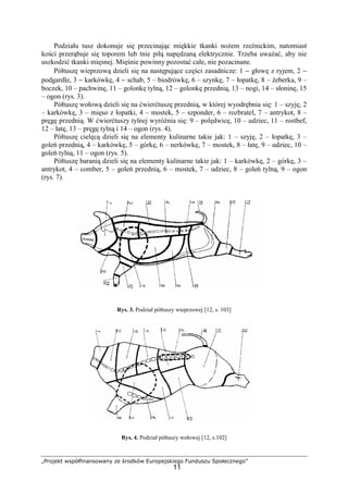 „Projekt współfinansowany ze środków Europejskiego Funduszu Społecznego”
11
Podziału tusz dokonuje się przecinając miękkie tkanki nożem rzeźnickim, natomiast
kości przerąbuje się toporem lub tnie piłą napędzaną elektrycznie. Trzeba uważać, aby nie
uszkodzić tkanki mięsnej. Mięśnie powinny pozostać całe, nie pozacinane.
Półtuszę wieprzową dzieli się na następujące części zasadnicze: 1 − głowę z ryjem, 2 −
podgardle, 3 − karkówkę, 4 − schab, 5 – biodrówkę, 6 – szynkę, 7 – łopatkę, 8 – żeberka, 9 –
boczek, 10 – pachwinę, 11 – golonkę tylną, 12 – golonkę przednią, 13 – nogi, 14 – słoninę, 15
– ogon (rys. 3).
Półtuszę wołową dzieli się na ćwierćtuszę przednią, w której wyodrębnia się: 1 – szyję, 2
– karkówkę, 3 – mięso z łopatki, 4 – mostek, 5 – szponder, 6 – rozbratel, 7 – antrykot, 8 –
pręgę przednią. W ćwierćtuszy tylnej wyróżnia się: 9 – polędwicę, 10 – udziec, 11 – rostbef,
12 – łatę, 13 – pręgę tylną i 14 – ogon (rys. 4).
Półtuszę cielęcą dzieli się na elementy kulinarne takie jak: 1 – szyję, 2 – łopatkę, 3 –
goleń przednią, 4 – karkówkę, 5 – górkę, 6 – nerkówkę, 7 – mostek, 8 – łatę, 9 – udziec, 10 –
goleń tylną, 11 – ogon (rys. 5).
Półtuszę baranią dzieli się na elementy kulinarne takie jak: 1 – karkówkę, 2 – górkę, 3 –
antrykot, 4 – comber, 5 – goleń przednią, 6 – mostek, 7 – udziec, 8 – goleń tylną, 9 – ogon
(rys. 7).
Rys. 3. Podział półtuszy wieprzowej [12, s. 103]
Rys. 4. Podział półtuszy wołowej [12, s.102]
 