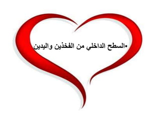 •‫ا‬‫ﻟﺴﻄﺢ‬‫ا‬‫ﻟﺪ‬‫ا‬‫ﺧﻠﻲ‬‫ﻣﻦ‬‫ا‬‫ﻟﻔﺨﺬ‬‫ين‬‫وا‬‫ﻟﻴﺪ‬‫ين‬
 