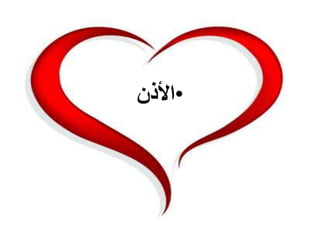 •‫ا‬‫ﻷ‬‫ذن‬
 