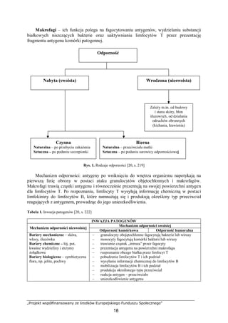 „Projekt współfinansowany ze środków Europejskiego Funduszu Społecznego”
18
Makrofagi – ich funkcja polega na fagocytowaniu antygenów, wydzielaniu substancji
białkowych niszczących bakterie oraz uaktywnianiu limfocytów T przez prezentację
fragmentu antygenu komórki patogennej.
Rys. 1. Rodzaje odporności [20, s. 219]
Mechanizm odporności: antygeny po wniknięciu do wnętrza organizmu napotykają na
pierwszą linię obrony w postaci ataku granulocytów objętochłonnych i makrofagów.
Makrofagi trawią cząstki antygenu i równocześnie prezentują na swojej powierzchni antygen
dla limfocytów T. Po rozpoznaniu, limfocyty T wysyłają informację chemiczną w postaci
limfokininy do limfocytów B, które namnażają się i produkują określony typ przeciwciał
reagujących z antygenem, prowadząc do jego unieszkodliwienia.
Tabela 1. Inwazja patogenów [20, s. 222]
INWAZJA PATOGENÓW
Mechanizm odporności swoistej
Mechanizm odporności nieswoistej
Odporność komórkowa Odporność humoralna
Bariery mechaniczne – skóra,
włosy, śluzówka
Bariery chemiczne – łój, pot,
kwaśne wydzieliny i enzymy
żołądkowe
Bariery biologiczne – symbiotyczna
flora, np. jelita, pochwy
– granulocyty obojętochłonne fagocytują bakterie lub wirusy
– monocyty fagocytują komórki bakterii lub wirusy
– trawienie cząstek „intruza” przez fagocyty
– prezentacja antygenu na powierzchni makrofaga
– rozpoznanie obcego białka przez limfocyt T
– pobudzenie limfocytów T i ich podział
– wysyłanie informacji chemicznej do limfocytów B
– mobilizacja limfocytów B i ich podział
– produkcja określonego typu przeciwciał
– reakcja antygen – przeciwciało
– unieszkodliwienie antygenu
Zależy m.in. od budowy
i stanu skóry, błon
śluzowych, od działania
odruchów obronnych
(kichania, łzawienia)
Wrodzona (nieswoista)
Odporność
Nabyta (swoista)
Czynna
Naturalna – po przebyciu zakażenia
Sztuczna – po podaniu szczepionki
Bierna
Naturalna – przeciwciała matki
Sztuczna – po podaniu surowicy odpornościowej
 