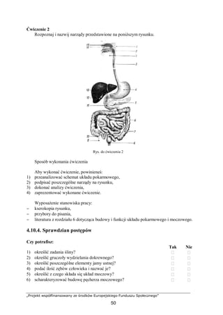 „Projekt współfinansowany ze środków Europejskiego Funduszu Społecznego”
50
Ćwiczenie 2
Rozpoznaj i nazwij narządy przedstawione na poniższym rysunku.
Rys. do ćwiczenia 2
Sposób wykonania ćwiczenia
Aby wykonać ćwiczenie, powinieneś:
1) przeanalizować schemat układu pokarmowego,
2) podpisać poszczególne narządy na rysunku,
3) dokonać analizy ćwiczenia,
4) zaprezentować wykonane ćwiczenie.
Wyposażenie stanowiska pracy:
− kserokopia rysunku,
− przybory do pisania,
− literatura z rozdziału 6 dotycząca budowy i funkcji układu pokarmowego i moczowego.
4.10.4. Sprawdzian postępów
Czy potrafisz:
Tak Nie
1) określić zadania śliny?  
2) określić gruczoły wydzielania dokrewnego?  
3) określić poszczególne elementy jamy ustnej?  
4) podać ilość zębów człowieka i nazwać je?  
5) określić z czego składa się układ moczowy?  
6) scharakteryzować budowę pęcherza moczowego?  
 