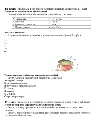 ІІІ рівень (правильне розв’язання кожного завдання оцінюється в 1 бал)
Завдання на встановлення відповідності
13. Встановіть відповідність між розмірами організмів, та їх назвами.
Робота за малюнком
14. Розгляньте малюнок і встановіть позначені частини внутрішньої беззубки.
1 –
2 –
3 –
4 –
5 –
6 –
7 –
Тестове завдання з кількома варіантами відповідей
15. Виберіть ознаки, що властиві Головоногим молюскам:
А) твердий панцер;
Б) щупальця на голові;
В) внутрішній хрящовий скелет;
Г) плавці;
Д) легені;
Е) 2 нирки;
Є) трикамерне серце.
ІV рівень (правильне розв’язання кожного завдання оцінюється в 1,5 бала)
Завдання творчого характеру(одне завдання на вибір)
16. Поясніть, у чому проявляється ускладнення будови молюсків з кільчастими
червами.
17. Вкажіть, які особливості будови тіла дають підставу вважати восьминога твариною
з розвиненим «інтелектом».
А. Ставковик 1) 10 – 25 мм
Б. Беззубка 2) 140 см
В.Тридакна гігантська 3) 7 см
Г. Кулька річкова 4) 4 – 10 см
 