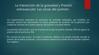La interacción de la gravedad y Presión
extravascular: Las zonas del pulmón .
Los experimentos realizados en pulmones de animales extirpados, per fundidos, en
posición vertical han demostrado el mismo gradiente de aumento de la perfusión por
unidad de volumen de la parte superior del pulmón a la parte inferior.
La perfusión del pulmón cesó en el punto en el que la presión alveolar (PA) era igual a la
presión arterial pulmonar (Pa).
Por encima de este punto, no hubo la perfusión debido a la presión alveolar excedía la
presión de la arteria pulmonar, y así la presión transmural a través de las paredes capilares
fue negativo.
 