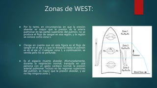 Zonas de WEST:
 Por lo tanto, en circunstancias en que la presión
alveolar es mayor que la presión de la arteria
pulmonar en las partes superiores del pulmón, no se
produce el flujo de sangre en esa región, y la región
se conoce como zona 1.
 (Tenga en cuenta que en esta figura es el flujo de
sangre en el eje x y que la distancia hasta el pulmón
es en el eje y.) Cualquier zona 1, a continuación, se
ventila pero no se perfunde.
 Es el espacio muerto alveolar. Afortunadamente,
durante la respiración normal, tranquila en una
persona con un gasto cardiaco normal, la presión
arterial pulmonar, incluso en las regiones superiores
del pulmón, es mayor que la presión alveolar, y así
no hay ninguna zona 1.
 