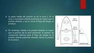  La parte media del pulmón es en la zona 2. En la
zona 2, la presión arterial pulmonar es mayor que la
presión alveolar, y así es como el flujo de sangre se
produce.
 Sin embargo, debido a la presión alveolar es mayor
que la presión de la vena pulmonar, la presión de
conducción efectiva para el flujo de sangre es la
presión arterial pulmonar alveolar menos la presión
en la zona 2.
 