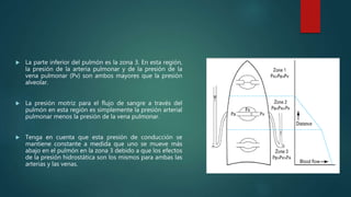  La parte inferior del pulmón es la zona 3. En esta región,
la presión de la arteria pulmonar y de la presión de la
vena pulmonar (Pv) son ambos mayores que la presión
alveolar.
 La presión motriz para el flujo de sangre a través del
pulmón en esta región es simplemente la presión arterial
pulmonar menos la presión de la vena pulmonar.
 Tenga en cuenta que esta presión de conducción se
mantiene constante a medida que uno se mueve más
abajo en el pulmón en la zona 3 debido a que los efectos
de la presión hidrostática son los mismos para ambas las
arterias y las venas.
 