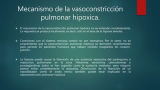 Mecanismo de la vasoconstricción
pulmonar hipoxica.
 El mecanismo de la vasoconstricción pulmonar hipóxica no se entiende completamente.
La respuesta se produce localmente, es decir, sólo en el área de la hipoxia alveolar.
 Conexiones con el sistema nervioso central no son necesarios: Por lo tanto, no es
sorprendente que la vasoconstricción pulmonar hipóxica se demostró recientemente
para persistir en pacientes humanos que habían recibido trasplantes de corazón-
pulmón.
 La hipoxia puede causar la liberación de una sustancia vasoactiva del parénquima o
mastocitos pulmonares en la zona. Histamina, serotonina, catecolaminas y
prostaglandinas todos se han sugerido como la sustancia mediador, pero ninguno
parece imitar completamente la respuesta. Disminución de la liberación de un
vasodilatador como el óxido nítrico también puede estar implicado en la
vasoconstricción pulmonar hipóxica.
 