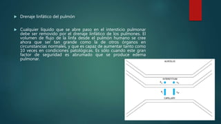  Drenaje linfático del pulmón
 Cualquier líquido que se abre paso en el intersticio pulmonar
debe ser removido por el drenaje linfático de los pulmones. El
volumen de flujo de la linfa desde el pulmón humano se cree
ahora que ser tan grande como la de otros órganos en
circunstancias normales, y que es capaz de aumentar tanto como
10 veces en condiciones patológicas. Es sólo cuando este gran
factor de seguridad es abrumado que se produce edema
pulmonar.
 