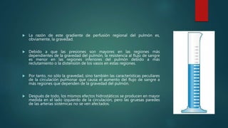  La razón de este gradiente de perfusión regional del pulmón es,
obviamente, la gravedad.
 Debido a que las presiones son mayores en las regiones más
dependientes de la gravedad del pulmón, la resistencia al flujo de sangre
es menor en las regiones inferiores del pulmón debido a más
reclutamiento o la distensión de los vasos en estas regiones.
 Por tanto, no sólo la gravedad, sino también las características peculiares
de la circulación pulmonar que causa el aumento del flujo de sangre a
más regiones que dependen de la gravedad del pulmón.
 Después de todo, los mismos efectos hidrostáticos se producen en mayor
medida en el lado izquierdo de la circulación, pero las gruesas paredes
de las arterias sistémicas no se ven afectados.
 