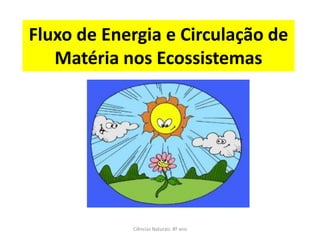 Fluxo de Energia e Circulação de
Matéria nos Ecossistemas
Ciências Naturais 8º ano
 