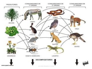 Ciências Naturais 8º ano
 