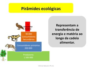 Ciências Naturais 8º ano
Representam a
transferência de
energia e matéria ao
longo da cadeia
alimentar.
Produtores
1 500 000
90 000
Consumidores
Secundários
Consumidores primários
200 000
1
Consumidor
terciário
Pirâmides ecológicas
 