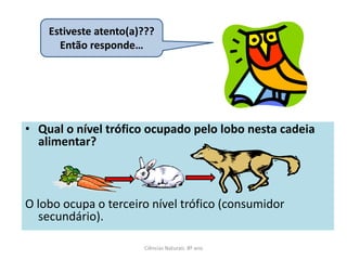 • Qual o nível trófico ocupado pelo lobo nesta cadeia
alimentar?
O lobo ocupa o terceiro nível trófico (consumidor
secundário).
Ciências Naturais 8º ano
Estiveste atento(a)???
Então responde…
 