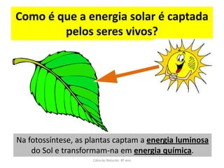 Como é que a energia solar é captada
pelos seres vivos?
Ciências Naturais 8º ano
Na fotossíntese, as plantas captam a energia luminosa
do Sol e transformam-na em energia química.
 