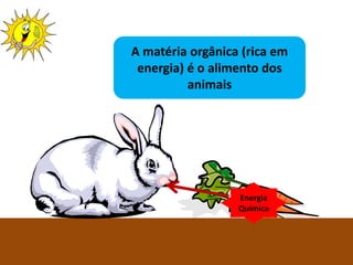 Ciências Naturais 8º ano
Energia
Química
A matéria orgânica (rica em
energia) é o alimento dos
animais
 