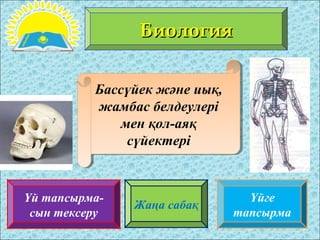 Үй тапсырма-
сын тексеру
Жаңа сабақ
Үйге
тапсырма
БиологияБиология
Бассүйек және иық,
жамбас белдеулері
мен қол-аяқ
сүйект...