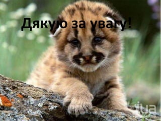 Дякую за увагу!
 