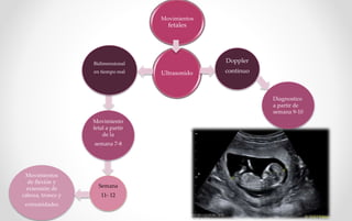 Ultrasonido
Movimiento
fetal a partir
de la
semana 7-8
Movimientos
de flexión y
extensión de
cabeza, tronco y
extremidades
Semana
11- 12
Bidimensional
en tiempo real
Doppler
continuo
Diagnostico
a partir de
semana 9-10
Movimientos
fetales
 